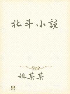 北斗小说