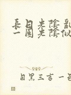 长日光阴 乱作一团光阴似箭封面