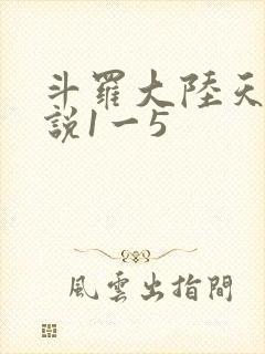 斗罗大陆天狂传说1一5
