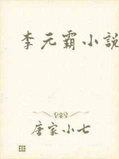 李元霸小说封面