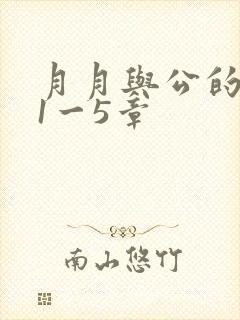 月月与公的激情1一5章