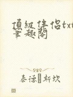 顶级伴侣txt笔趣阁封面