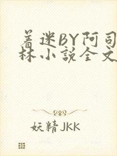 着迷BY阿司匹林小说全文免费阅读