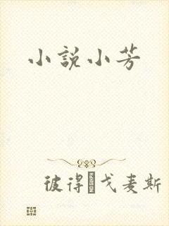 小说小芳