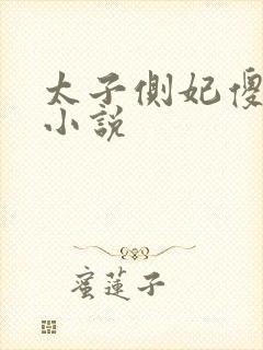 太子侧妃傻乎乎小说封面