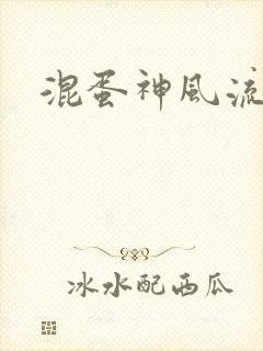 混蛋神风流封面