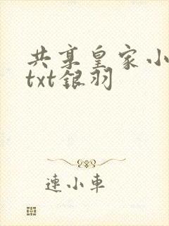 共享皇家小公主txt银羽