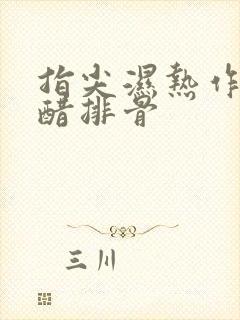 指尖湿热作者糖醋排骨封面