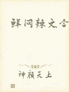 鲜网辣文合集