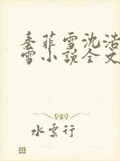 秦菲雪沈浩秦菲雪小说全文免费阅读求书