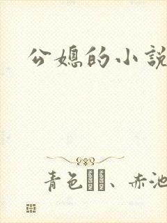 公媳的小说封面