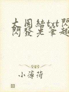 大团结txt闪闪发光笔趣阁