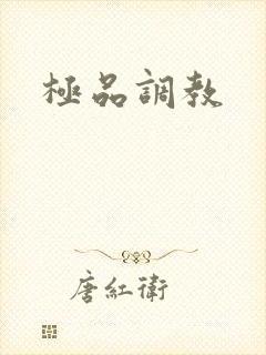 极品调教封面