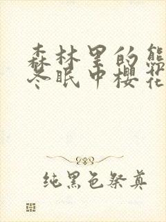 森林里的熊先生冬眠中樱花动漫封面