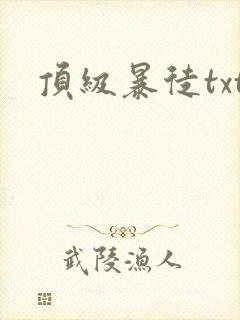 顶级暴徒txt封面