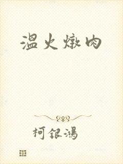 温火炖肉封面