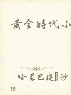黄金时代小说封面
