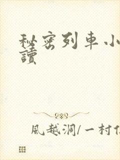 秘密列车小说阅读