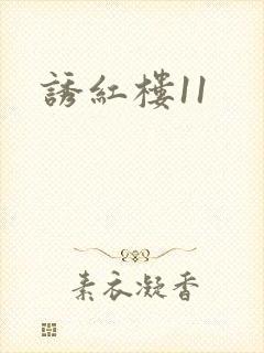 诱红楼11