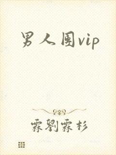 男人团vip