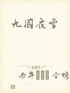 九国夜雪