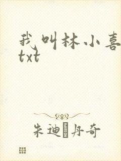 我叫林小喜小说txt