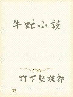 牛虻小说