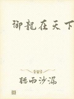 御龙在天下载封面