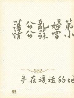 荡公乱妇第1章情公苏雪小说