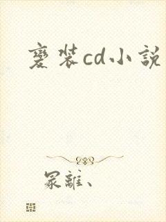 变装cd小说封面