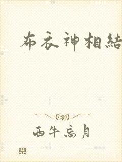 布衣神相结局