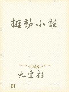 挺动小说