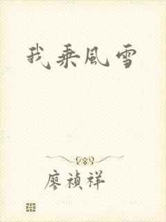 我乘风雪封面