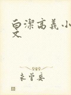 白洁高义小说全文