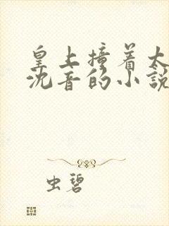 皇上撞着太子妃沈音的小说叫什么