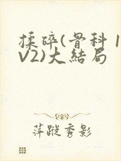 揉碎(骨科 1V2)大结局