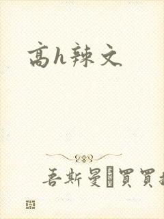 高h辣文封面