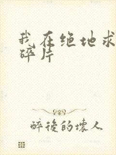 我在绝地求生捡碎片