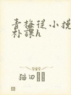青梅从小摸到大补课h
