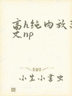 高h纯肉放荡h文np
