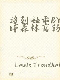 追到她乖BY黑暗森林写的小说