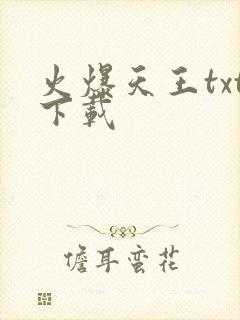 火爆天王txt下载