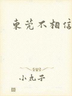 东莞不相信眼泪封面