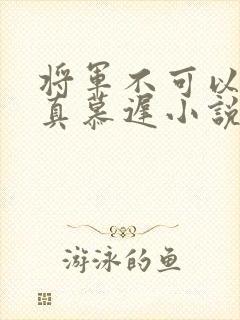 将军不可以魏云真慕迟小说笔趣阁封面