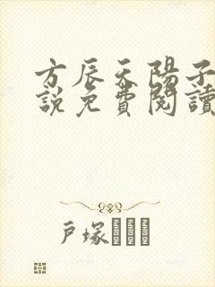 方辰天阳子的小说免费阅读