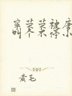 宁荣荣被唐三桶叫个不停小说