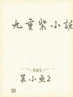 九重紫小说封面