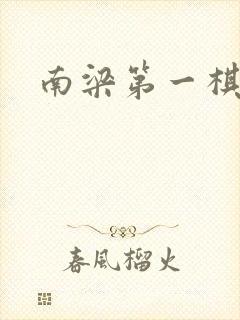 南梁第一棋手封面