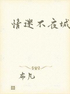 情迷不夜城