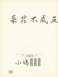 采花不成反被采封面